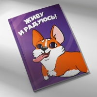 Подарочный набор в портфеле: ежедневник А5, магнитные закладки и ручка &laquo;Для тех, у кого лапки&raquo;