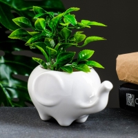 Горшок "Слоник Уайти" 13х9х7,5см Горшок "Слоник Уайти" 13х9х7,5см