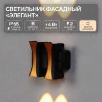 Светильник фасадный &laquo;Элегант&raquo;, FSD-043, 4 Вт, 3000К, 2 луча, IP65, 220 В, пластик, черный