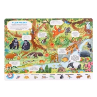 Книжка с окошками &laquo;Виммельбух. Животные&raquo;