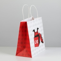 Пакет подарочный новогодний &laquo;Ты не подарок&raquo;, 22 х 22 х 11 см