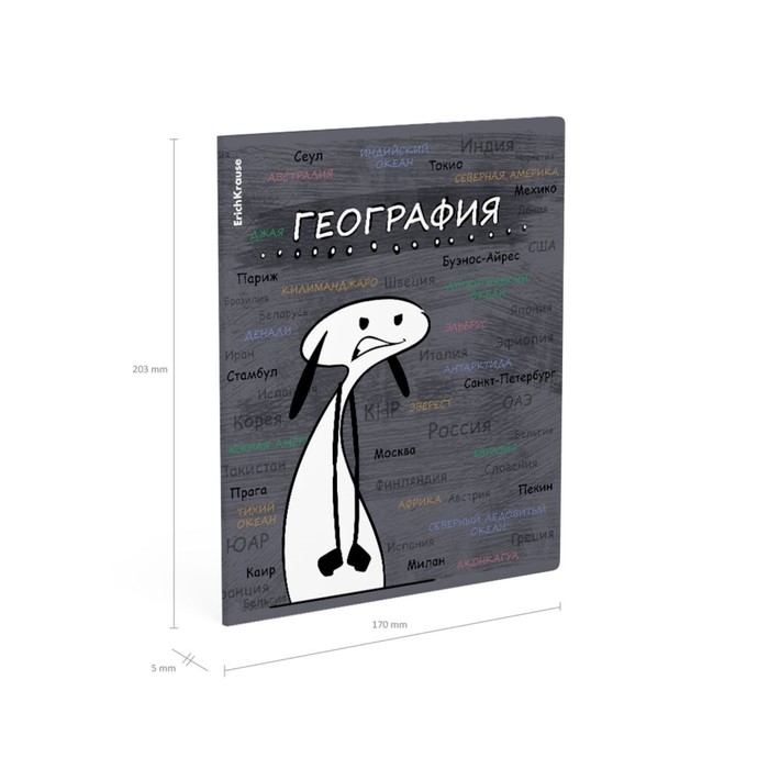 Тетрадь предметная ГЕОГРАФИЯ, 48 листов в клетку, ErichKrause Тетрадь предметная ГЕОГРАФИЯ, 48 листов в клетку, ErichKrause "Чубрик", пластиковая обложка, шелкография, блок офсет 100% белизна, инфо-блок