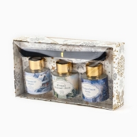 Новый год! Аромадиффузор ароматический палочки &laquo;Новогодняя коллекция: Зимний&raquo;, 50 мл