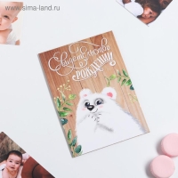 Папка для свидетельства о рождении «Миша», А5 Папка для свидетельства о рождении «Миша», А5