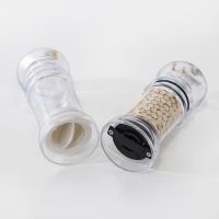 Набор для специй Доляна &laquo;Льдинки&raquo;, h=10 см, 2 шт: мельница, солонка, цвет прозрачный