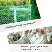 Сетка садовая, 1 &times; 20 м, ячейка квадрат 50 &times; 50 мм, пластиковая, зелёная, Greengo