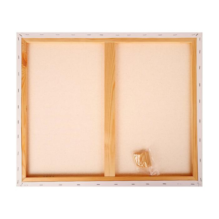 Холст на подрамнике, хлопок 100%, 50 х 60 х 1.8 см, акриловый грунт, мелкозернистый &laquo;Студия&raquo;