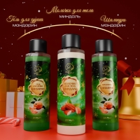 Новогодний подарочный набор косметики &laquo;Новогодние огни&raquo;, с ароматом миндаля и мандарина. Зеленая серия