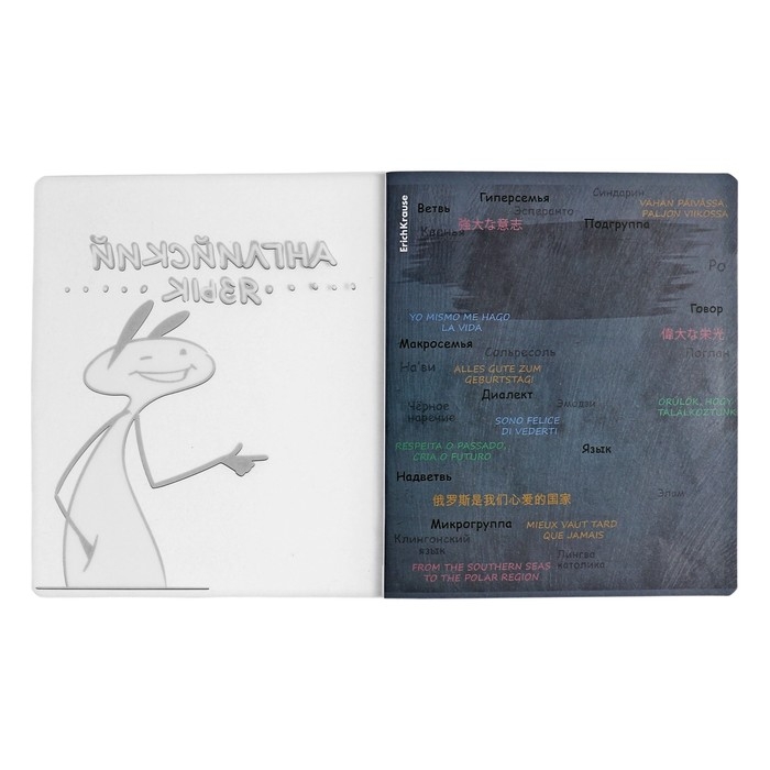 Тетрадь предметная АНГЛИЙСКИЙ ЯЗЫК, 48 листов в клетку, ErichKrause Тетрадь предметная АНГЛИЙСКИЙ ЯЗЫК, 48 листов в клетку, ErichKrause "Чубрик", пластиковая обложка, шелкография, блок офсет 100% белизна, инфо-блок