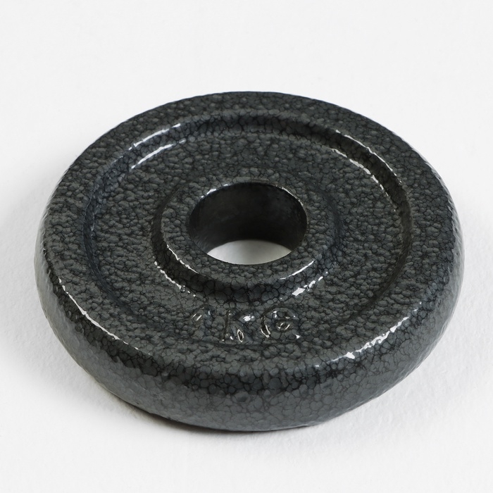 Диск  1 кг, d=29 мм