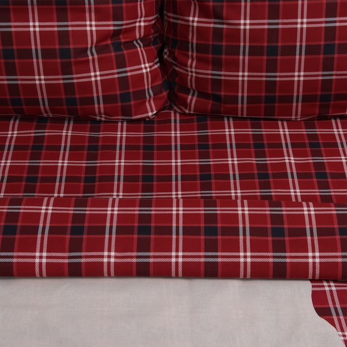 Постельное бельё "Этель" Scottish deer дуэт 143х215 см 2 шт,220х240 см,70х70 см 2 шт,поплин 125 г/м2