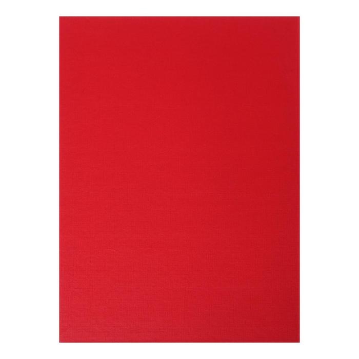 Папка Папка "Личное дело", бумвинил, гребешки/сутаж, без бумаги, красная (вместимость до 300 листов)