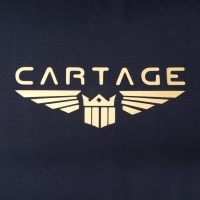 Термосумка Cartage Т-17, синяя, 18 л, 35х21х24 см Термосумка Cartage Т-17, синяя, 18 л, 35х21х24 см