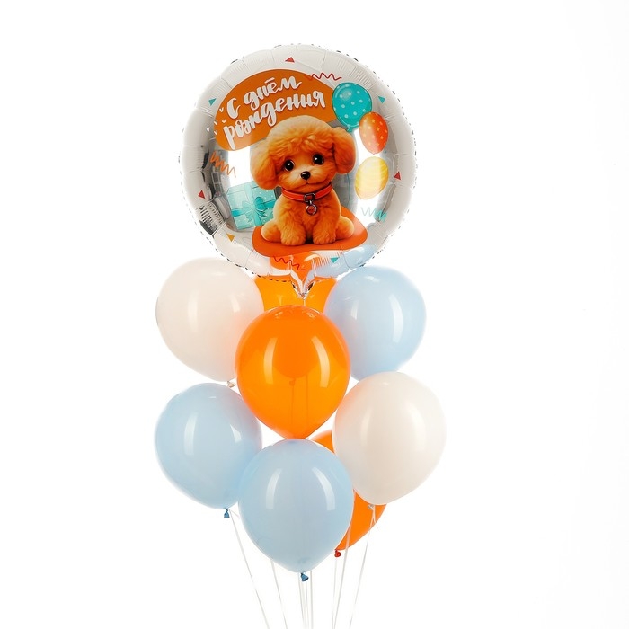 Набор воздушных шаров &laquo;Собачка&raquo;, фольга, латекс, 9 шт.