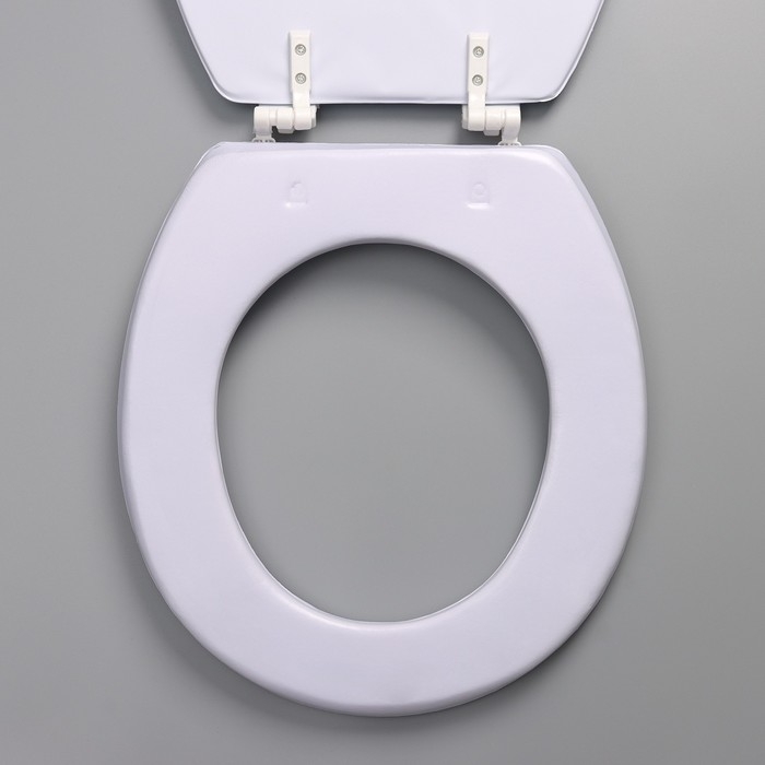 Сиденье для унитаза с крышкой Доляна «Ромашки», 42×36,5 см Сиденье для унитаза с крышкой Доляна «Ромашки», 42×36,5 см