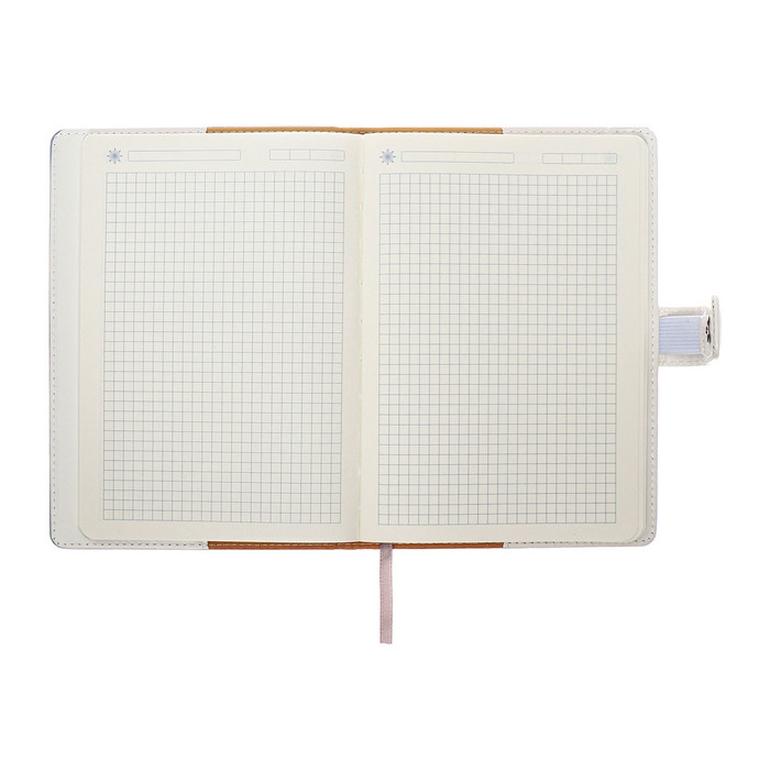 Органайзер на кольцах, А5, 128л, клетка, обл.кожзам, с хлястиком, Бизнес, голубой Органайзер на кольцах, А5, 128л, клетка, обл.кожзам, с хлястиком, Бизнес, голубой