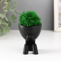 Кашпо бетонное мини "Мистер Грин" Кикадзару со мхом черный 5,5х6х6,5 см (мох зел. стабилиз) Кашпо бетонное мини "Мистер Грин" Кикадзару со мхом черный 5,5х6х6,5 см (мох зел. стабилиз)