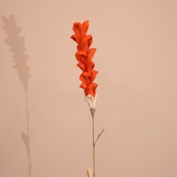 Сухоцвет на бамбуковом стебле 150 см коралловый