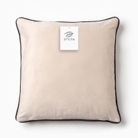 Наволочка декоративная Этель «Кант», 45х45, цвет бежевый, велюр (100% пэ) Наволочка декоративная Этель «Кант», 45х45, цвет бежевый, велюр (100% пэ)