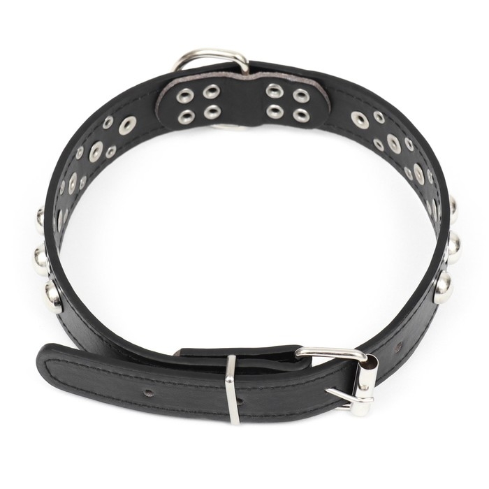 Ошейник "Сириус", кожзам с заклёпками, 56 х 3 см, ОШ 42-52, чёрный