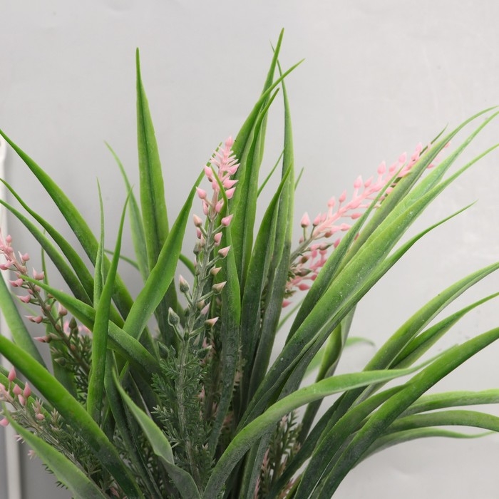 Бонсай в горшочке "Полевая листва" 9х23 см, микс