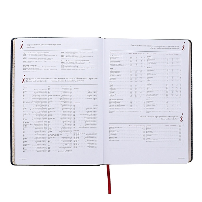 Ежедневник недатированный А4, 136 листов Sidney Nebraska, твёрдая обложка, искусственная кожа, золотой срез, ляссе, синий