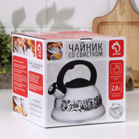 Чайник со свистком из нержавеющей стали Доляна &laquo;Рио&raquo;, 2,8 л, фиксированная ручка, цвет зелёный