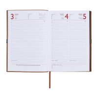 Ежедневник датированный 2025 года, А5, 176 листов ESCALADA, мягкая обложка из искусственной кожи, блинтовое тиснение, ляссе, блок 70 г/м2, бежевый