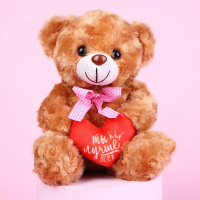 Мягкая игрушка &laquo;Ты лучше всех&raquo;, медведь, цвета МИКС
