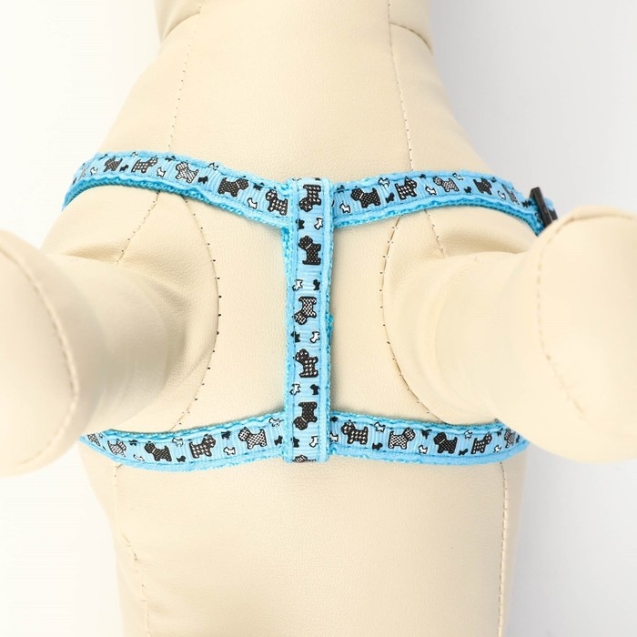 Комплект "Собачки", поводок 120 х 1 см, ОГ 23-35 см, голубой