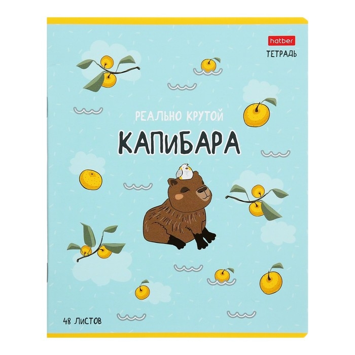 Тетрадь 48 листов в клетку Тетрадь 48 листов в клетку "Реально крутой Капибара", обложка мелованный картон, блок 65 г/м2, 5В МИКС