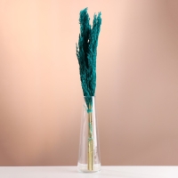 Набор сухоцветов "Камыш", банч длина 65 (+/- 6 см), изумрудный Набор сухоцветов "Камыш", банч длина 65 (+/- 6 см), изумрудный