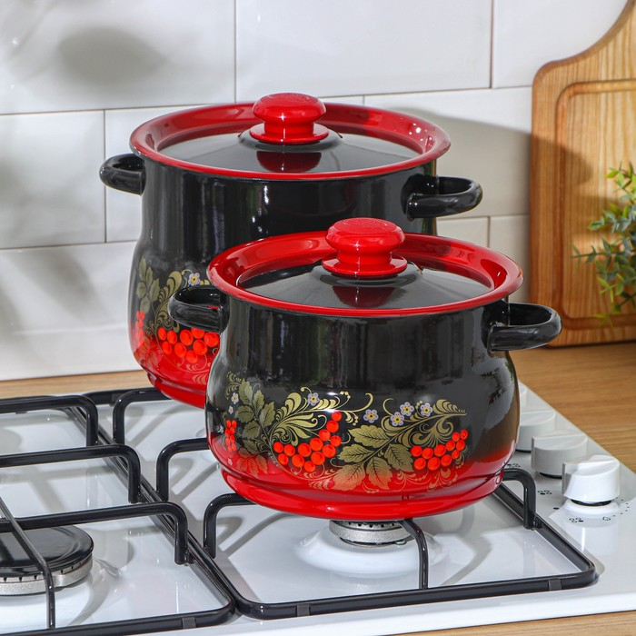Набор кастрюль &laquo;Рябинка&raquo;, 2 предмета: 4 л, 5,5 л, индукция