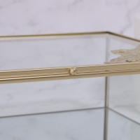 Органайзер для хранения «GREAT», с крышкой, стеклянный, с зеркальным дном, 1 секция, 25 × 17,5 × 8,5 см, цвет прозрачный/медный Органайзер для хранения «GREAT», с крышкой, стеклянный, с зеркальным дном, 1 секция, 25 × 17,5 × 8,5 см, цвет прозрачный/медный