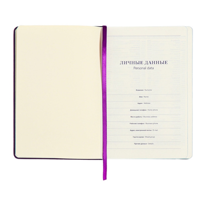 Ежедневник недатированный A5, 140л, клетка, кожзам, на резинке, синий срез, Фиолетовый Ежедневник недатированный A5, 140л, клетка, кожзам, на резинке, синий срез, Фиолетовый