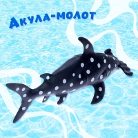 Набор морских животных &laquo;Хищники&raquo;, 3 штуки