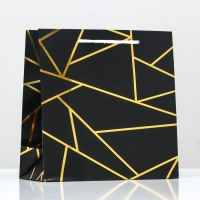 Пакет подарочный «Золотые линии», с тиснением, 22,5 х 23 х 10 см Пакет подарочный «Золотые линии», с тиснением, 22,5 х 23 х 10 см