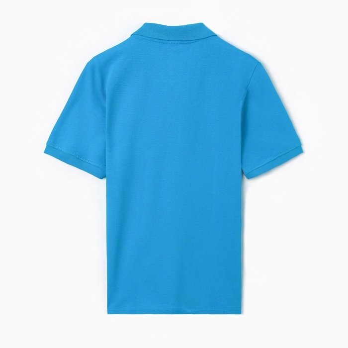 Футболка мужская поло, цвет бирюзовый, размер 48 Футболка мужская поло, цвет бирюзовый, размер 48