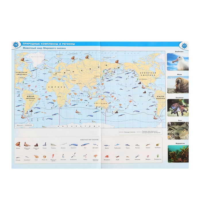 География «Атлас 7 класс» География «Атлас 7 класс»