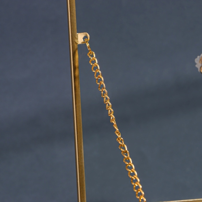 Органайзер для хранения &laquo;MOUNTAINS&raquo;, с крышкой, стеклянный, с зеркальным дном, 1 секция, 20 &times; 16 &times; 6,5 см, цвет прозрачный/медный