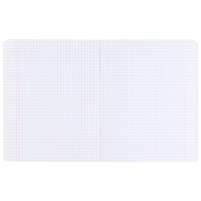 Набор тетрадей 20 штук, 12 листов, 1 сентября, Минни Маус Единорог