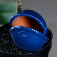 Ороситель "Кит" для комнатных и садовых растений Кунгурская керамика, 0.2 л, 19 см, синий Ороситель "Кит" для комнатных и садовых растений Кунгурская керамика, 0.2 л, 19 см, синий