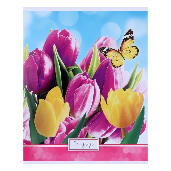 Тетрадь 48 листов в клетку Calligrata Тетрадь 48 листов в клетку Calligrata "Яркие цветы", обложка мелованный картон, УФ-лак, блок офсет, МИКС