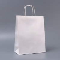 Пакет белый без печати, круглая ручка, 26 х 12 х 33 см, 120 г Пакет белый без печати, круглая ручка, 26 х 12 х 33 см, 120 г
