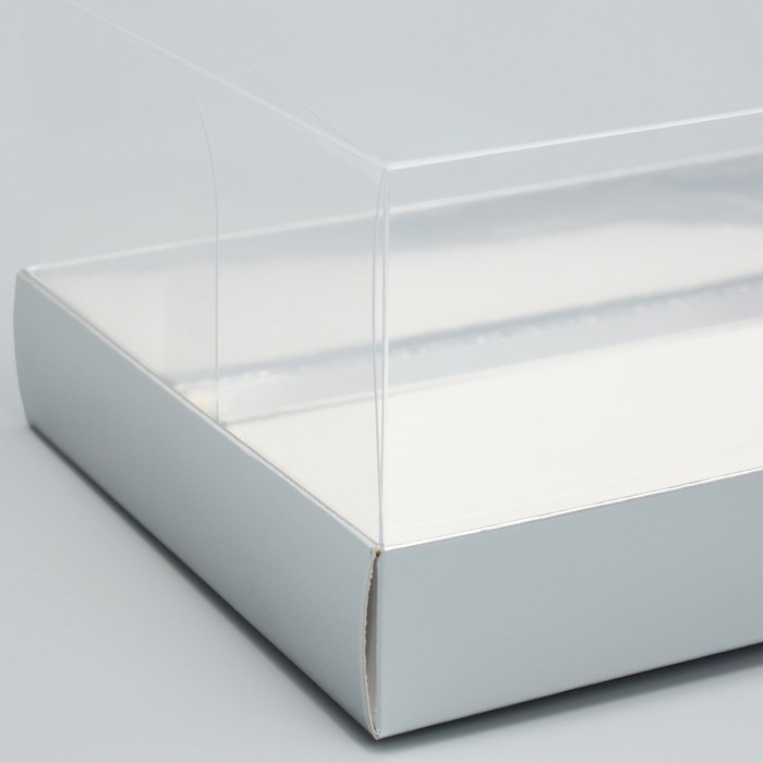 Коробка кондитерская «Серебристая», 22 х 8 х 13.5 см Коробка кондитерская «Серебристая», 22 х 8 х 13.5 см