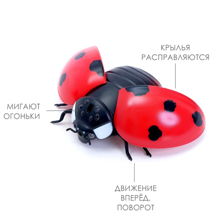 Животное радиоуправляемое &laquo;Божья коровка&raquo;, работает от батареек, световые эффекты