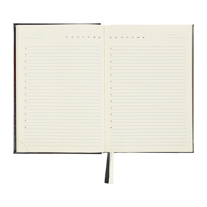 Ежедневник недатированный A5, 176 листов, deVENTE.Symbol, твёрдая обложка из искусственной кожи с поролоном, золотой срез, блок 70 г/м2, чёрный