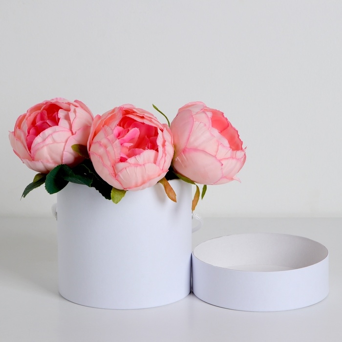 Подарочная коробка, круглая, белая,с шнурком, 12 х 12 см Подарочная коробка, круглая, белая,с шнурком, 12 х 12 см