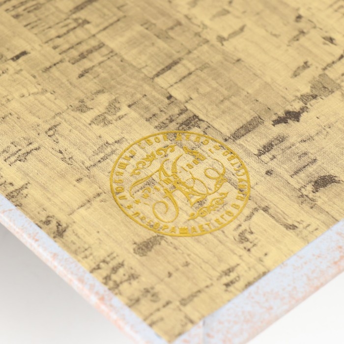 Сейф-книга дерево кожзам "Поймай дух океана" 21х13х5 см