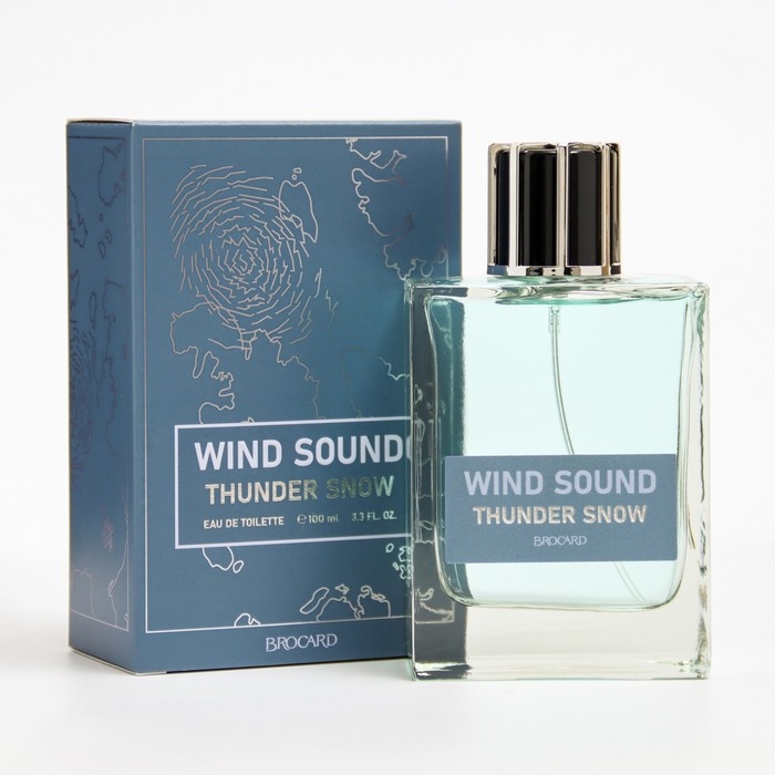 Туалетная вода мужская Туалетная вода мужская "Звук Ветра", "Снежная Гроза", 100 мл